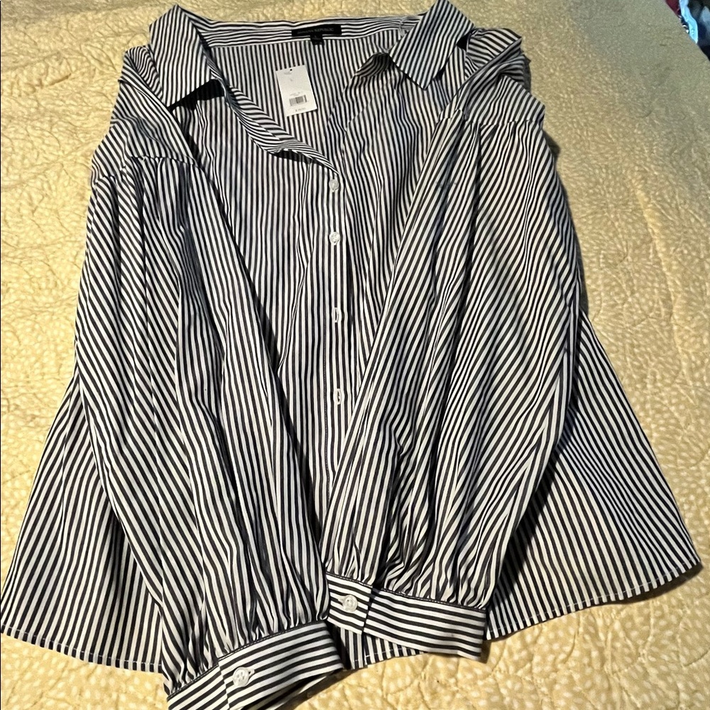 Ladies button down blouse